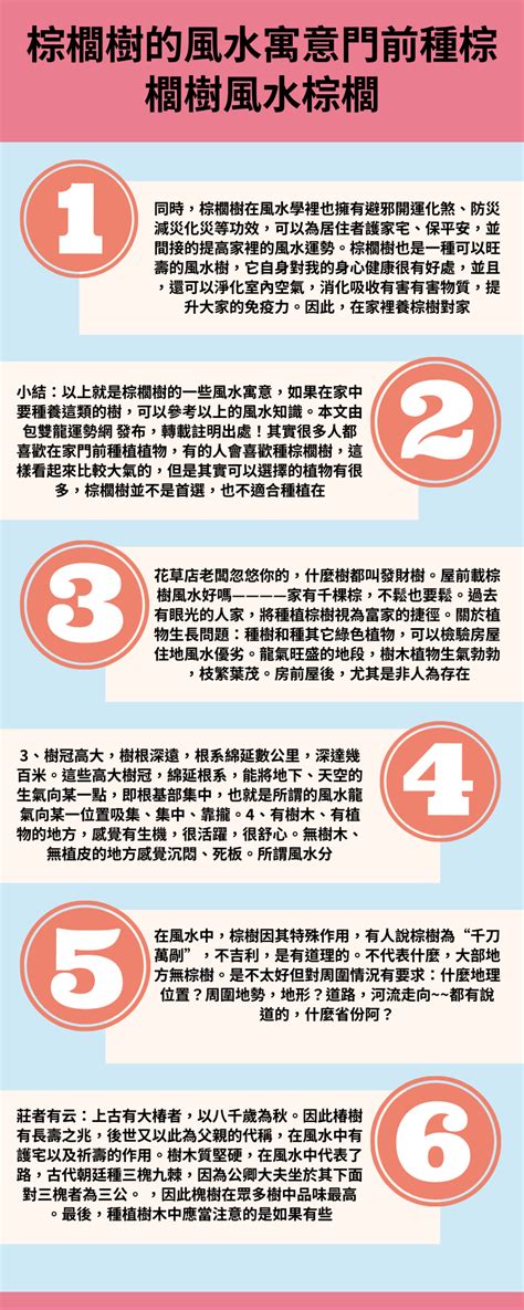 棕櫚樹風水|棕櫚樹風水：如何在家中使用棕櫚樹為你帶來好運？【棕櫚樹 風水】